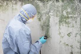 Best Air Quality Testing for Mold Spores  in Ivyland, PA